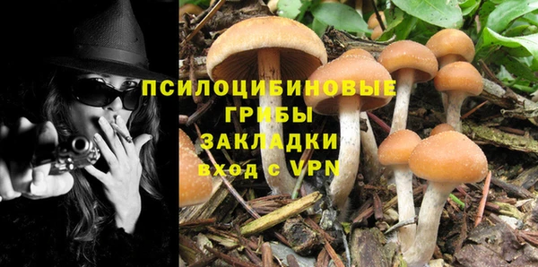 ГАЛЛЮЦИНОГЕННЫЕ ГРИБЫ Балахна
