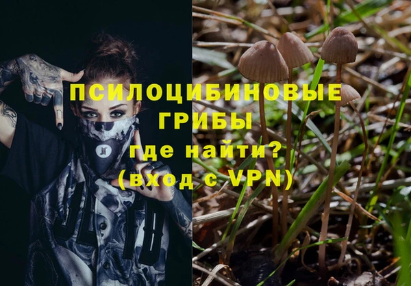 молекула духа Баксан